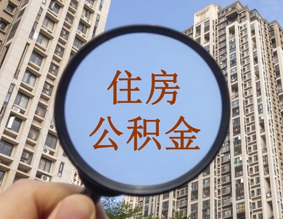 潍坊退休后查不到公积金明细了吗（退休后公积金查询不到原因）